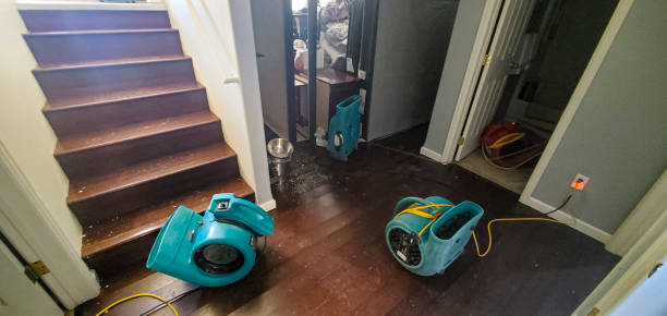 Best Water damage contractors near me  in Langhorne, PA