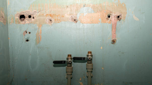 Best Carpet water damage restoration  in Langhorne, PA